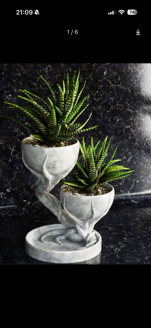Two tier planter